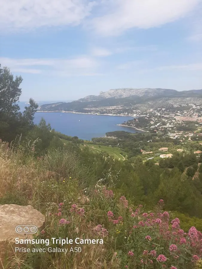 Villa Securisee Pres Des Lecques Saint-Cyr-sur-Mer Guest house