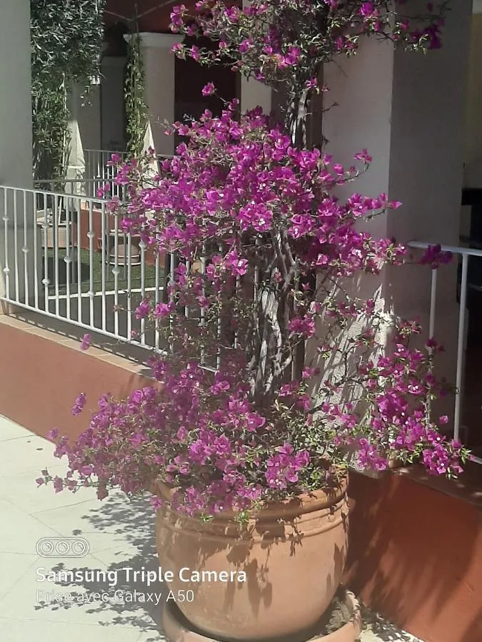 Villa sécurisée pres des lecques Saint-Cyr-sur-Mer France